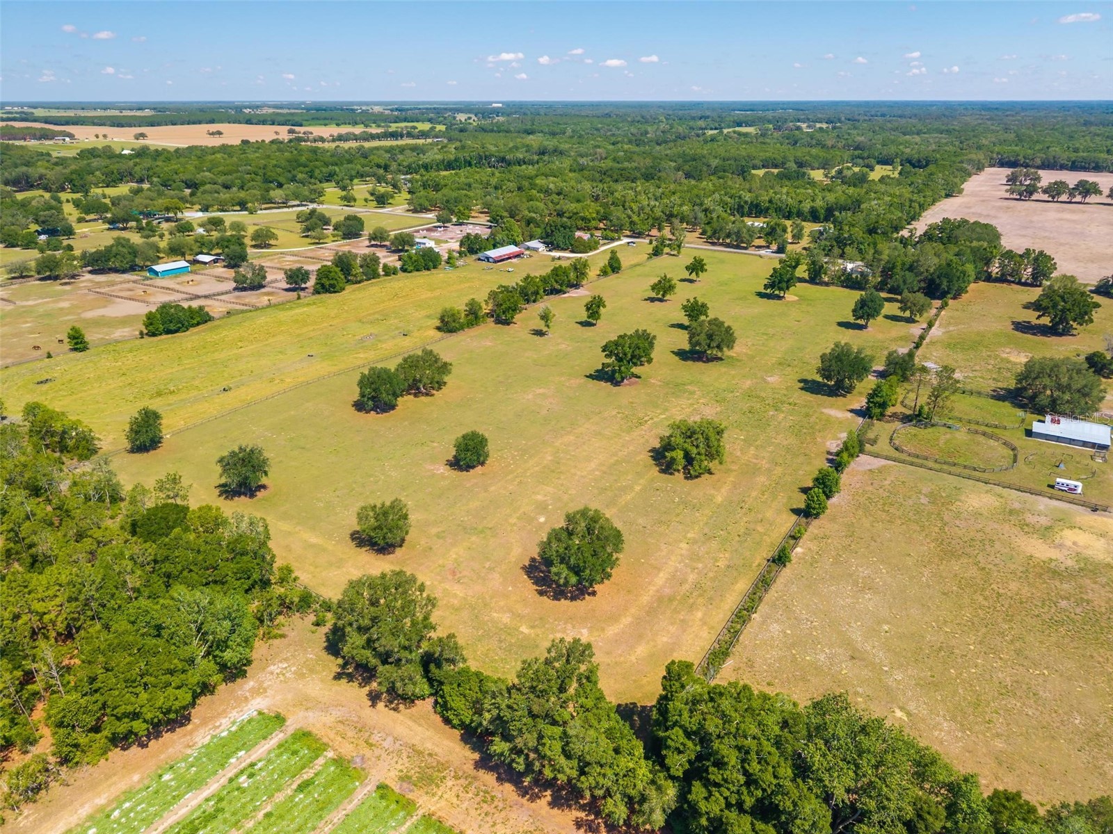 TBD SE 42nd Place Morriston FL 32668 OM724049 image8
