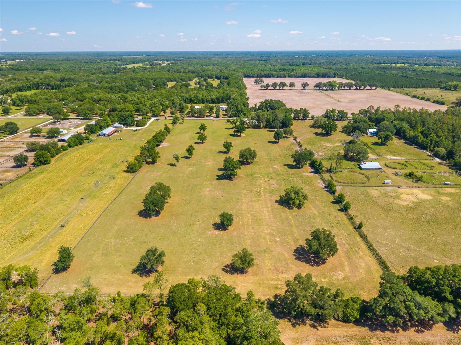 TBD SE 42nd Place Morriston FL 32668 OM724049 image9