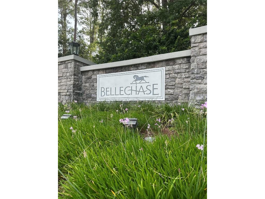 TBD SE 43rd Street Ocala FL 34480 OM688207 image1