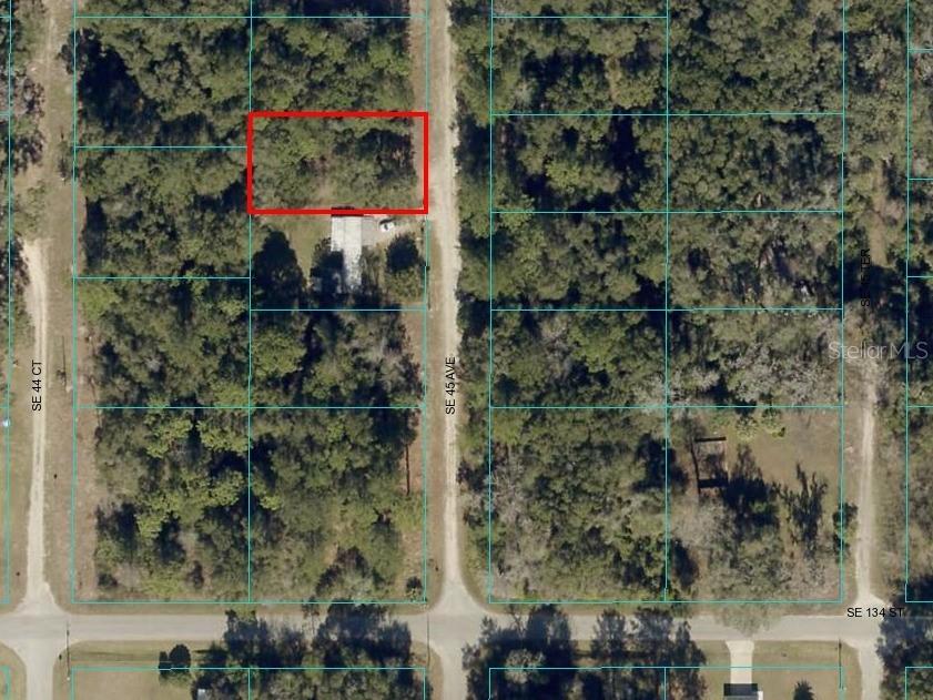 TBD SE 45th Avenue Belleview FL 34420 OM665090 image1