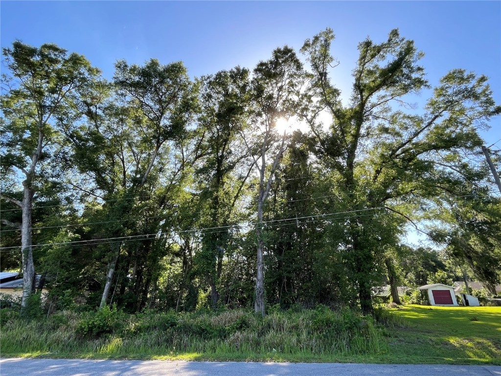 TBD SE 45th Court Summerfield FL 34491 OM657603 image1