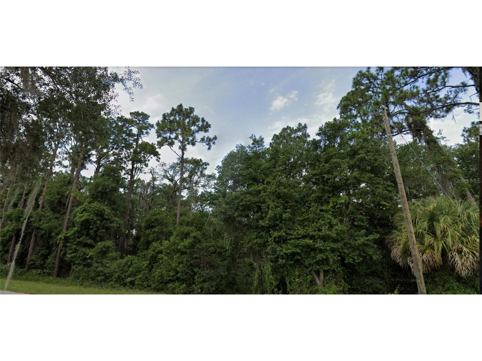 TBD Se 49th Street Ocklawaha FL 32179 - Blue Lake V4943096 image1