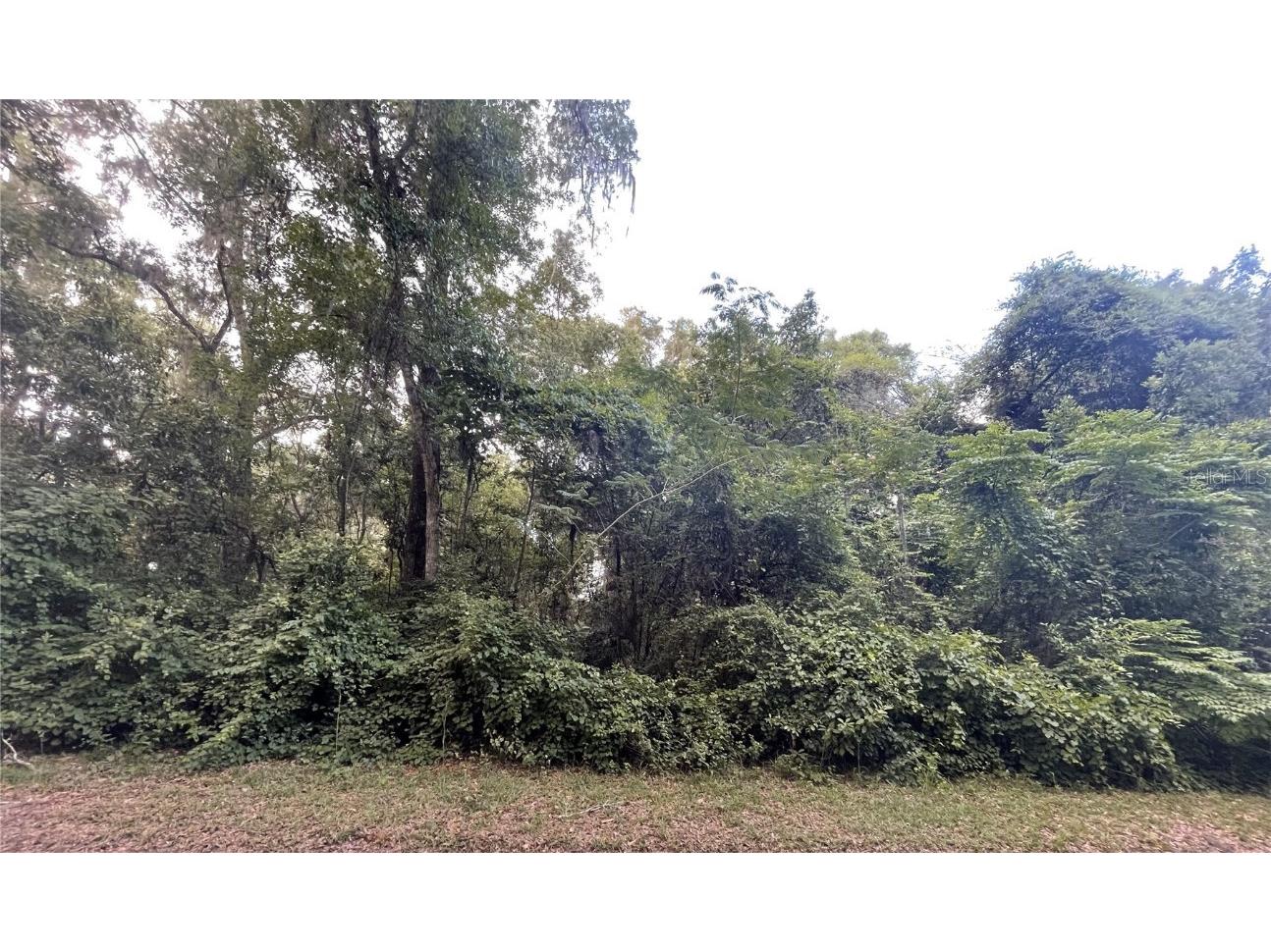 TBD SE 50 Avenue Road Belleview FL 34420 OM658159 image1