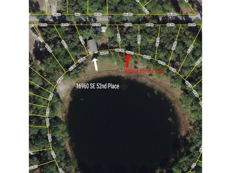 TBD SE 52nd Place Ocklawaha FL 32179 OM699911 image1