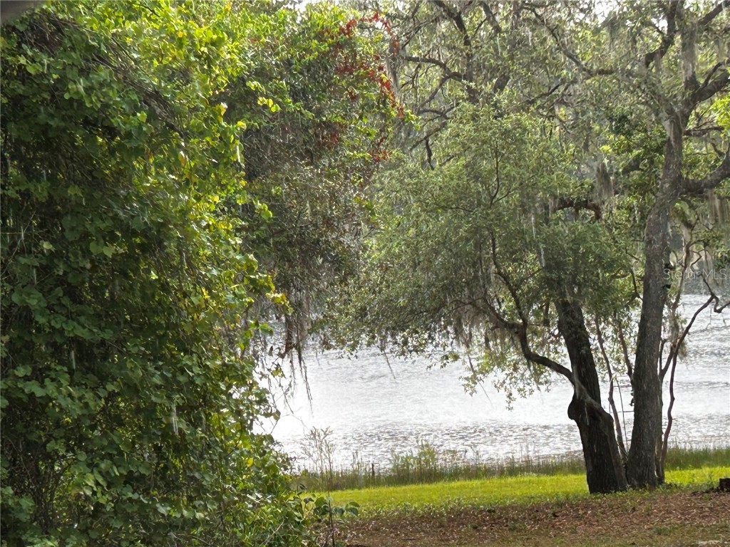 TBD SE 52nd Place Ocklawaha FL 32179 OM699911 image3