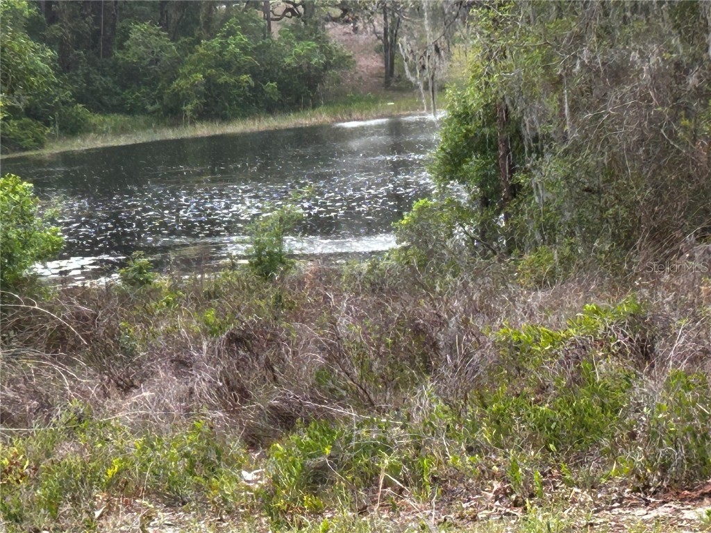 TBD SE 52nd Place Ocklawaha FL 32179 OM699911 image4