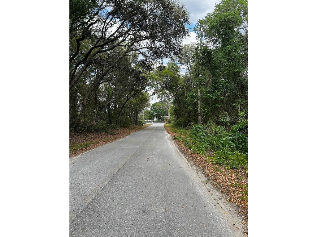 TBD SE 52nd Place Ocklawaha FL 32179 OM699911 image5