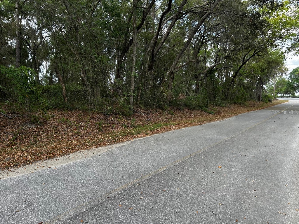 TBD SE 52nd Place Ocklawaha FL 32179 OM699911 image7