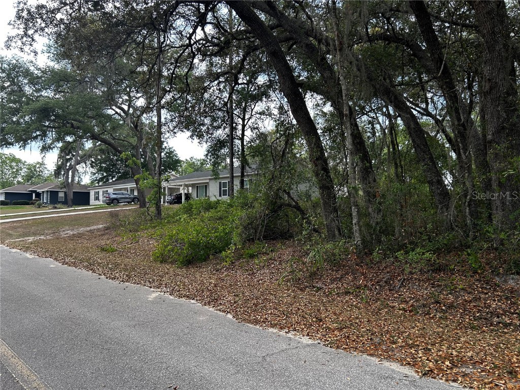 TBD SE 52nd Place Ocklawaha FL 32179 OM699911 image8