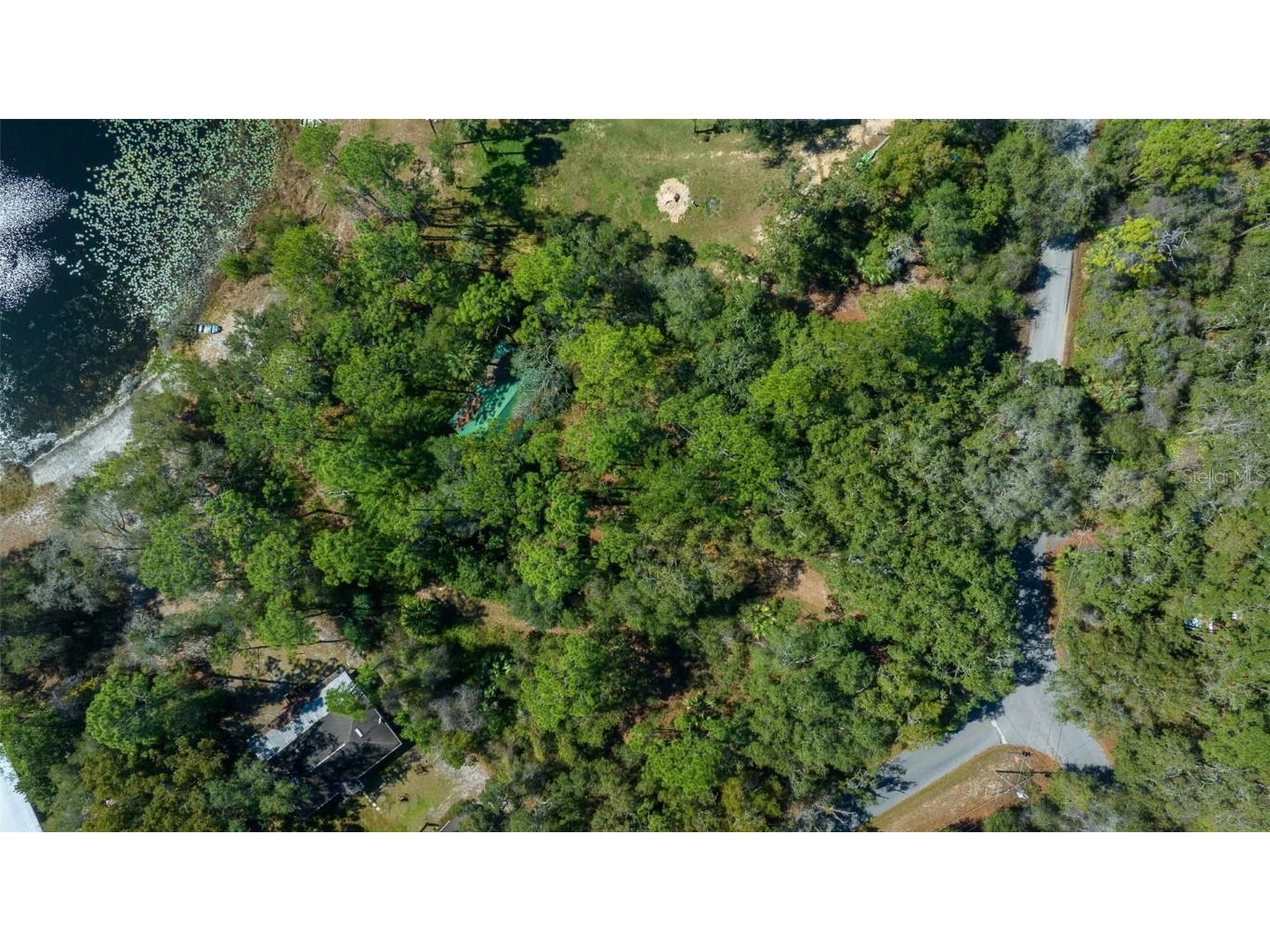 TBD SE 54th Street Ocklawaha FL 32179 - Crystal Lake OM695873 image7