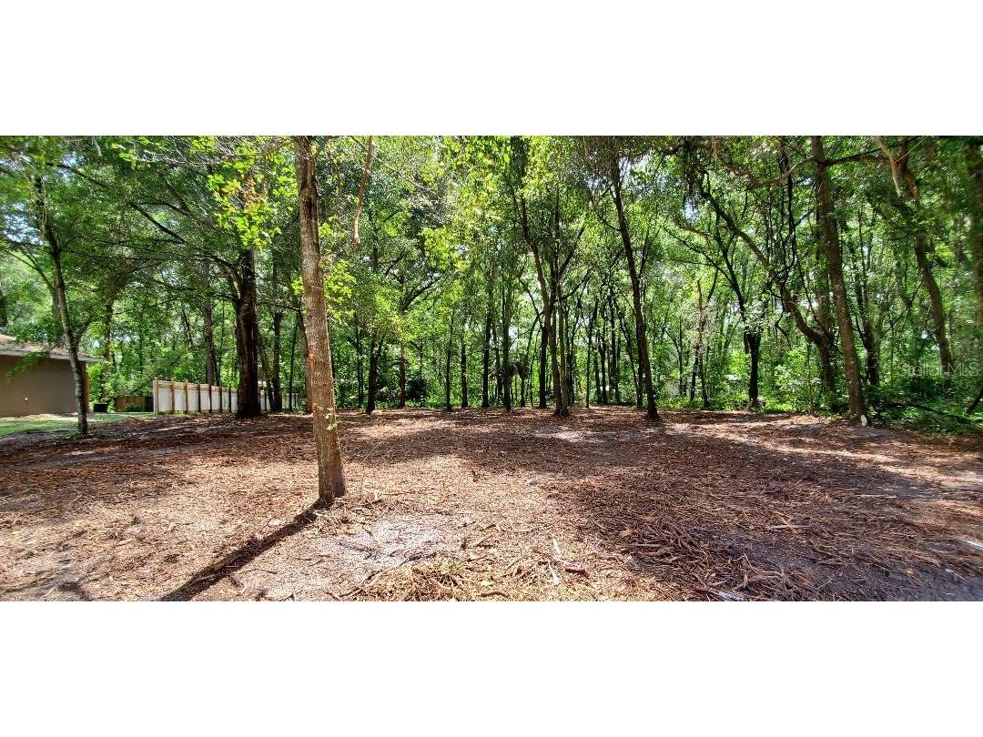 TBD SE 55 Avenue Summerfield FL 34491 OM643037 image1
