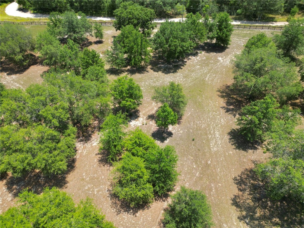 TBD SE 55th Place Ocklawaha FL 32179 OM702289 image11