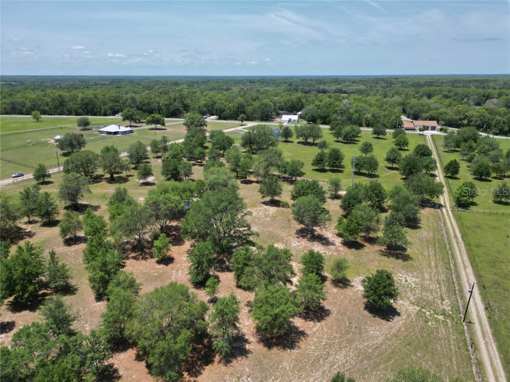 TBD SE 55th Place Ocklawaha FL 32179 OM702289 image18