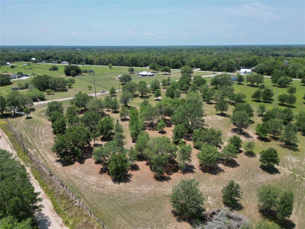 TBD SE 55th Place Ocklawaha FL 32179 OM702289 image19