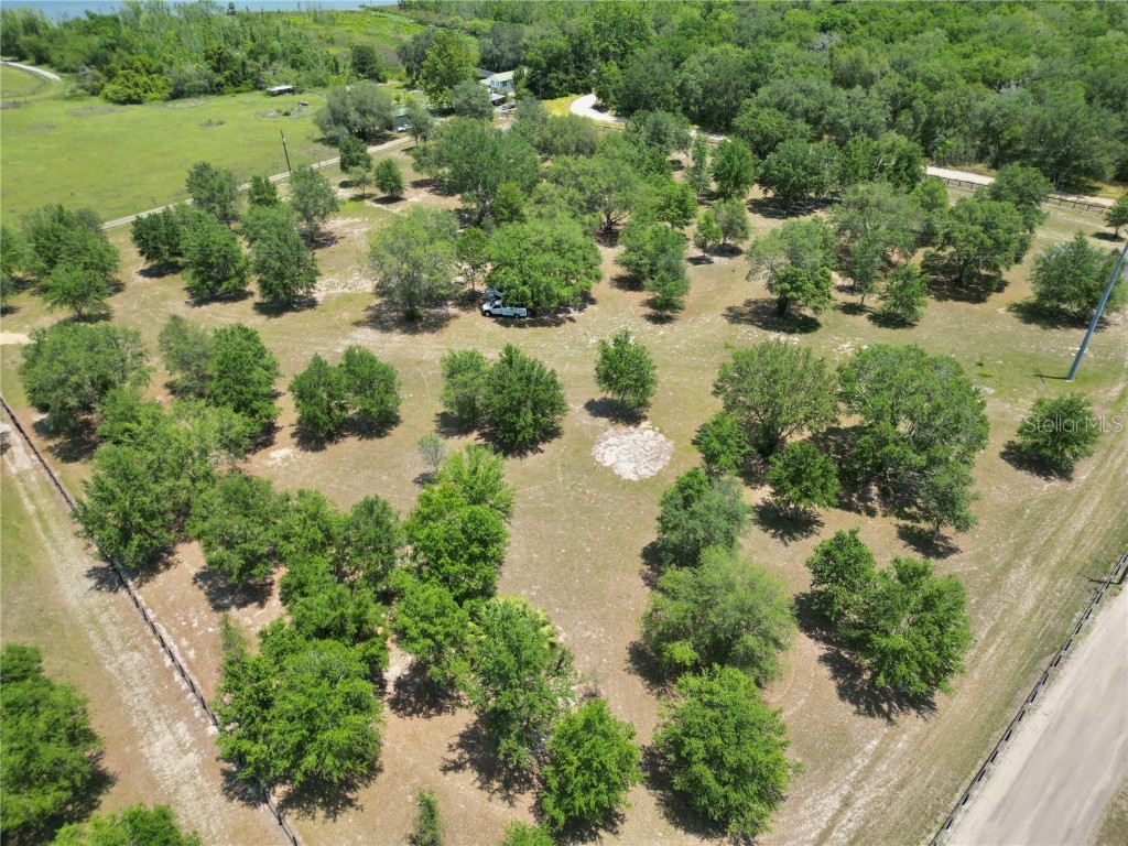 TBD SE 55th Place Ocklawaha FL 32179 OM702289 image22
