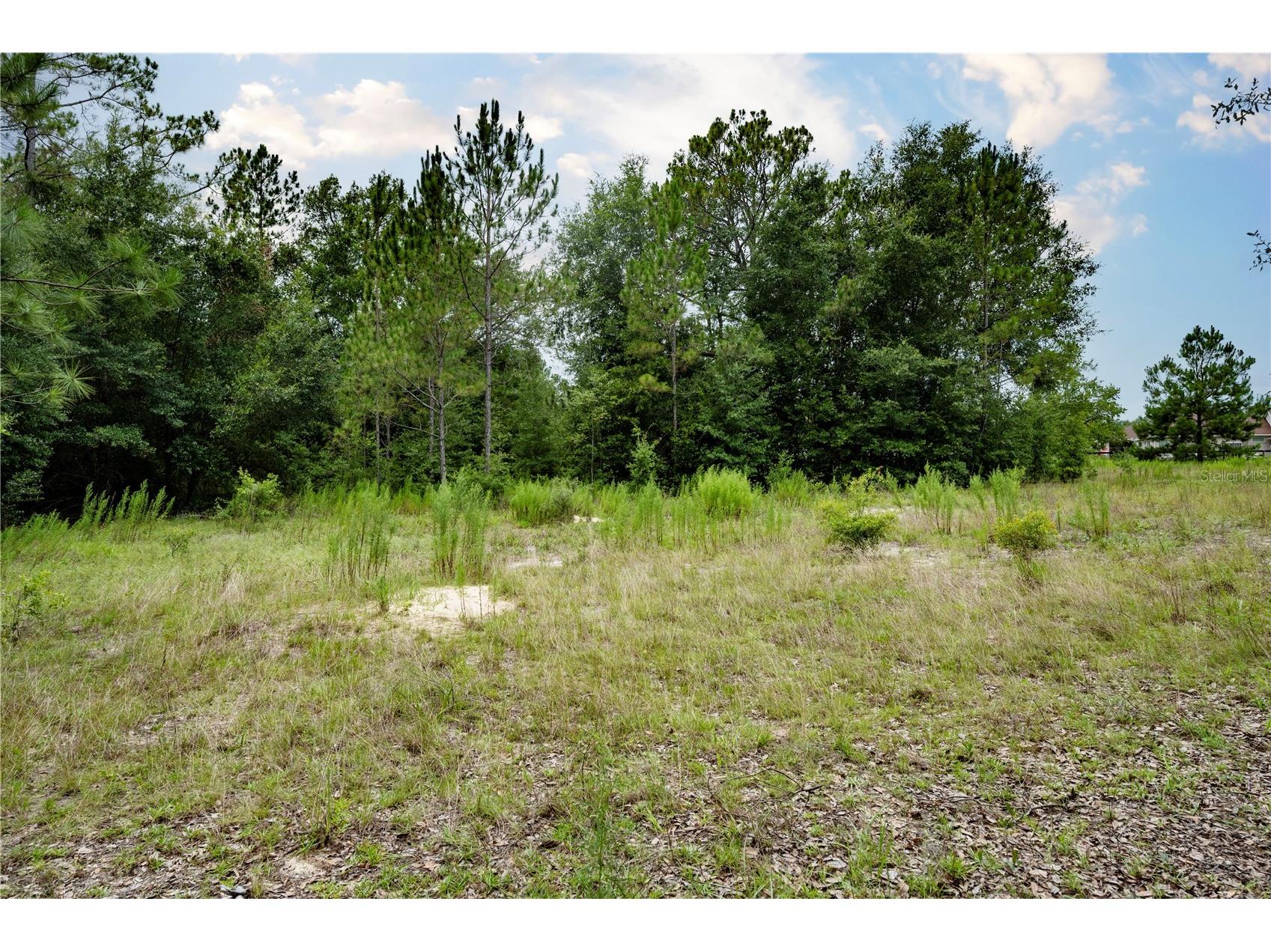 TBD SE 55th Street Morriston FL 32668 OM728875 image12