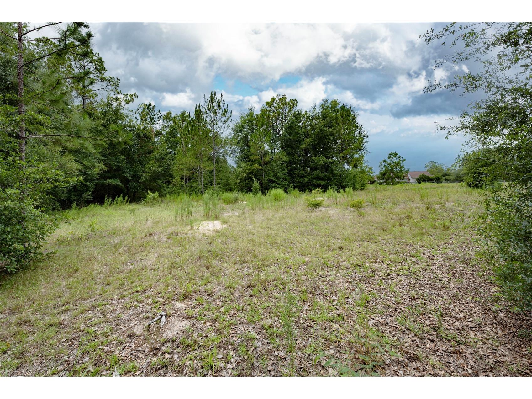 TBD SE 55th Street Morriston FL 32668 OM728875 image13
