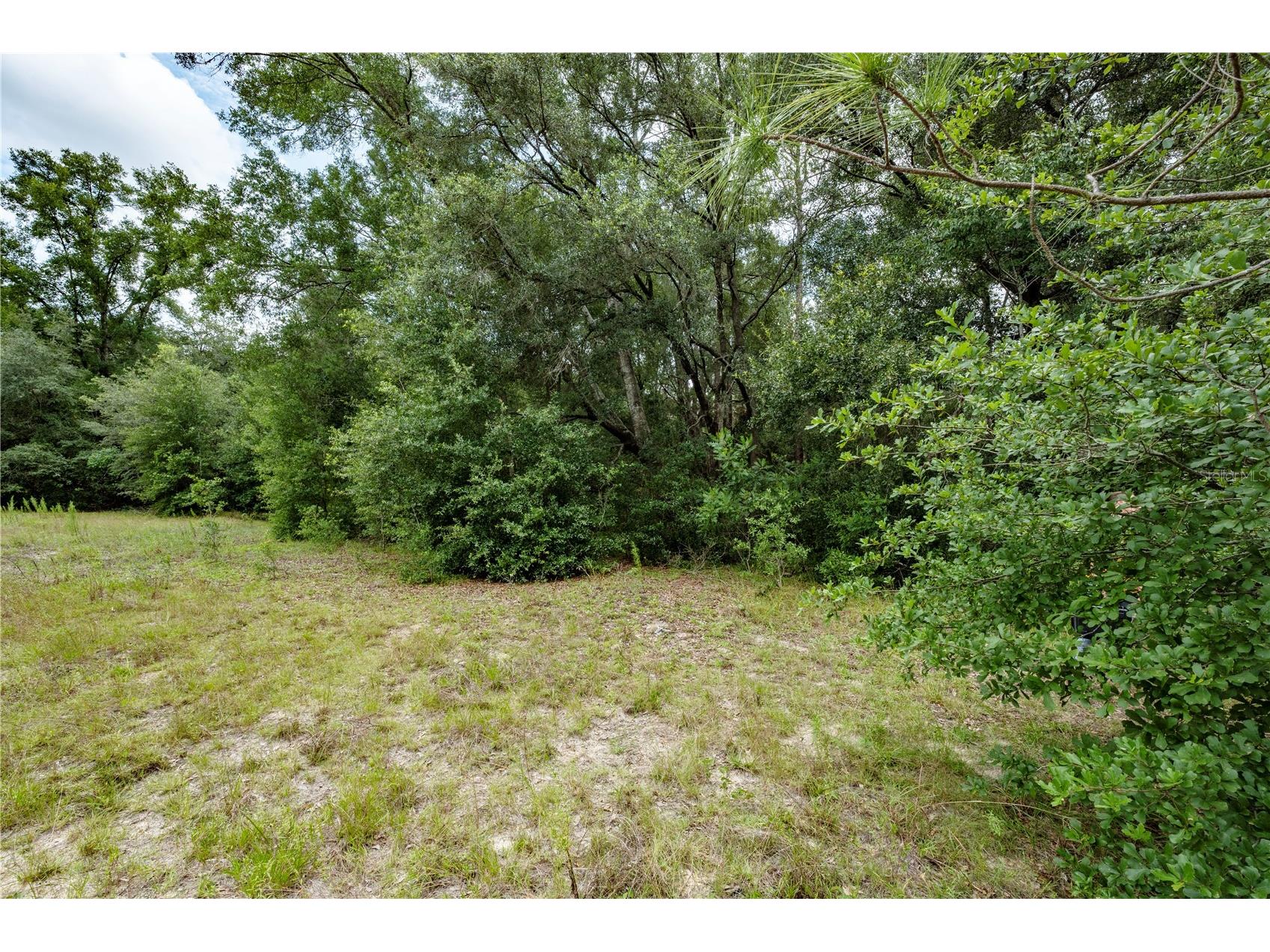 TBD SE 55th Street Morriston FL 32668 OM728875 image5