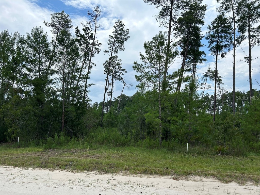 TBD SE 58th Lane Morriston FL 32668 OM684171 image1