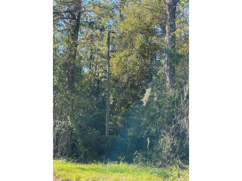 TBD SE 5th Avenue Lake Butler FL 32054 GC508996 image11