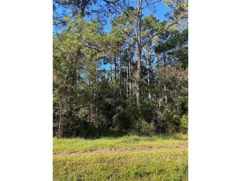 TBD SE 5th Avenue Lake Butler FL 32054 GC508996 image12