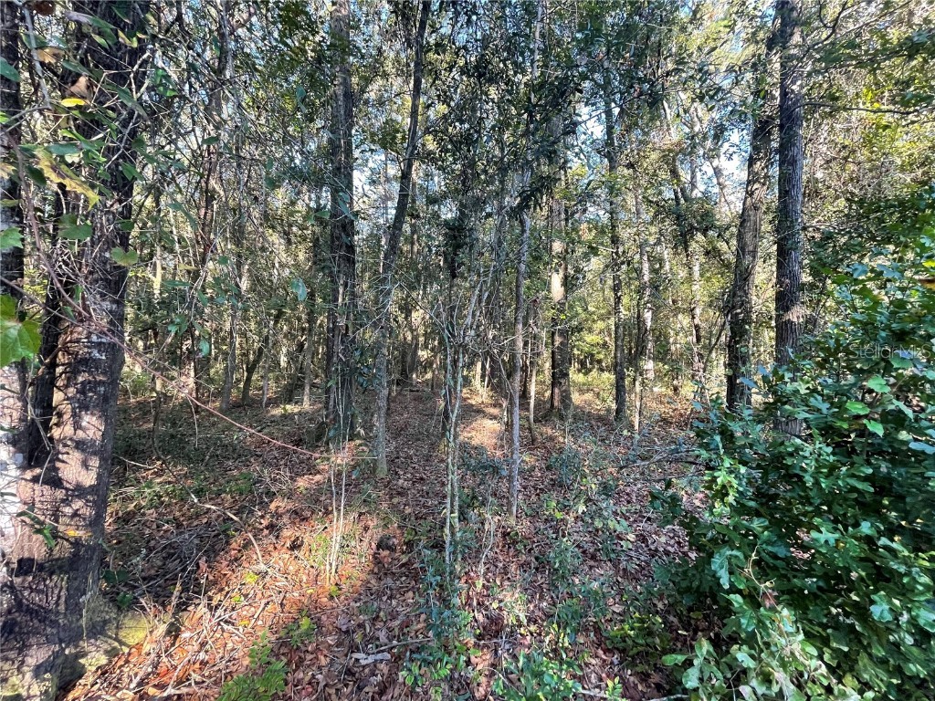 TBD SE 5th Avenue Lake Butler FL 32054 GC508996 image13