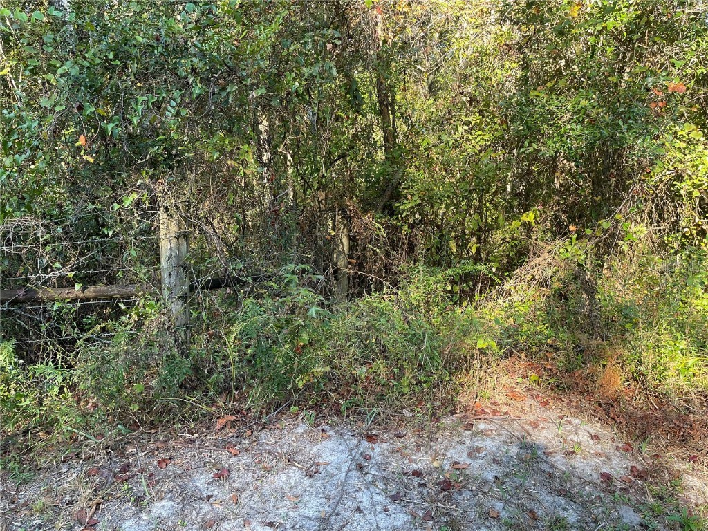 TBD SE 5th Avenue Lake Butler FL 32054 GC508996 image14