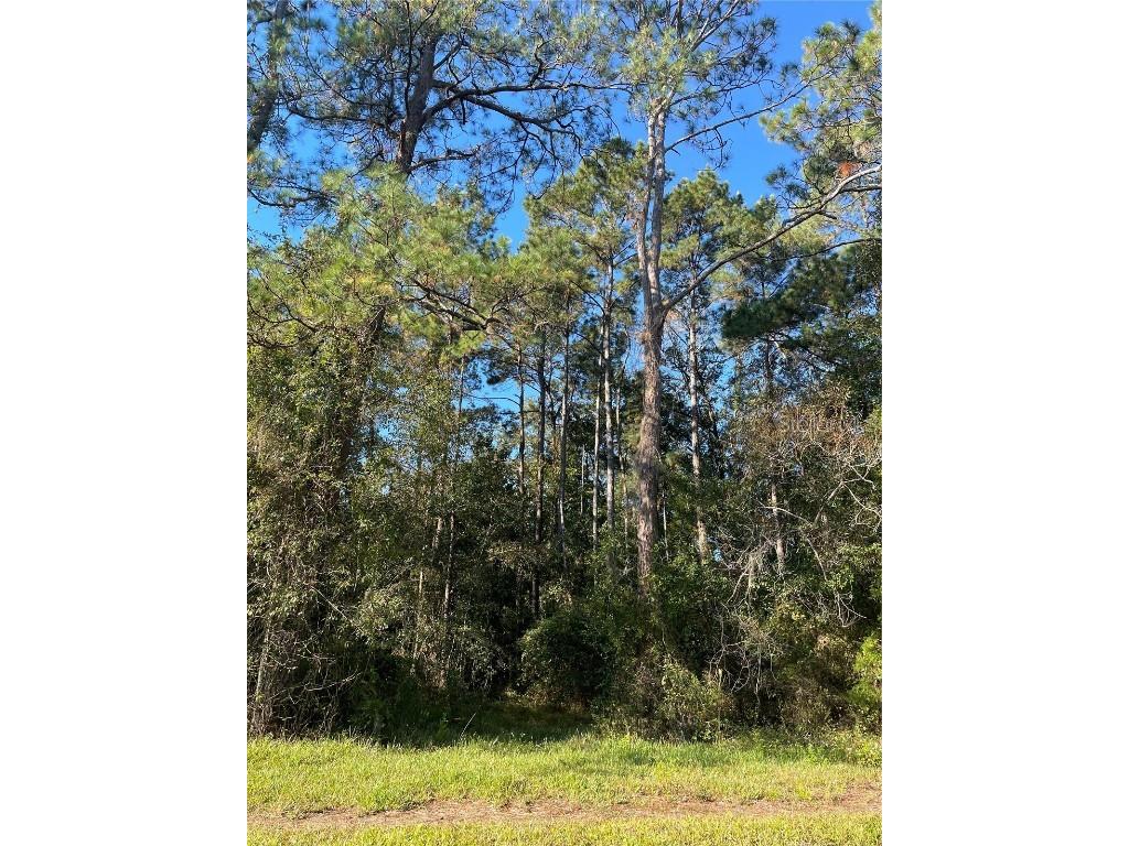 TBD SE 5th Avenue Lake Butler FL 32054 GC508996 image15