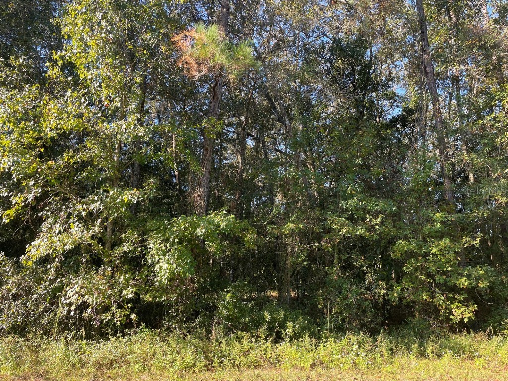 TBD SE 5th Avenue Lake Butler FL 32054 GC508996 image16