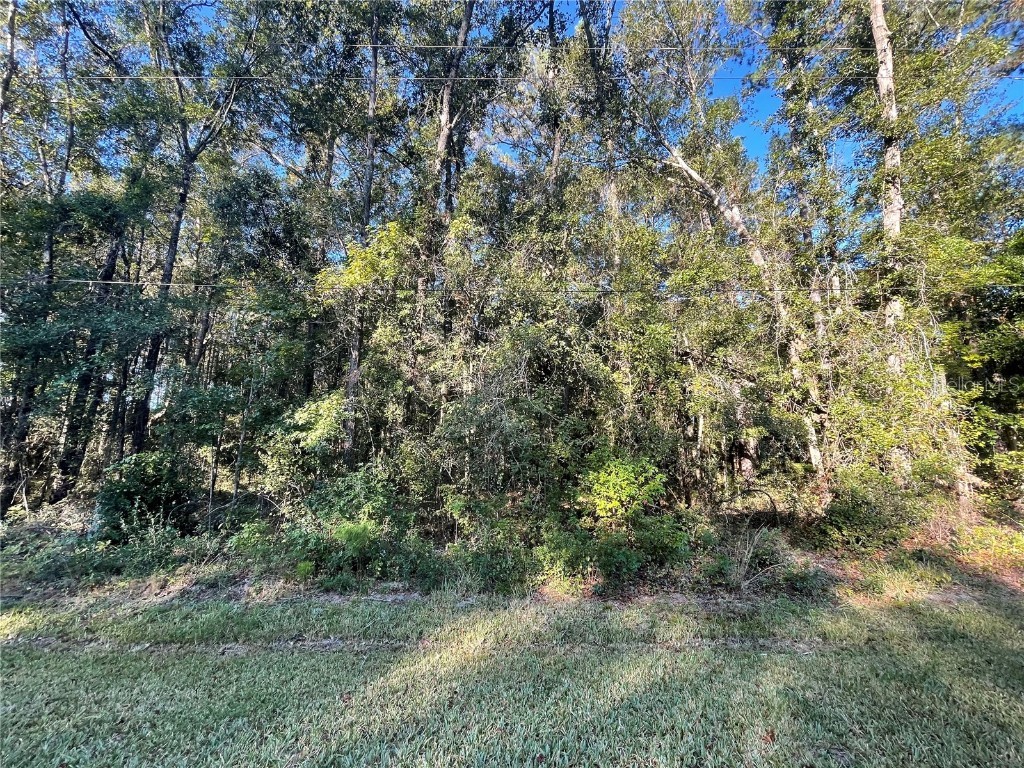 TBD SE 5th Avenue Lake Butler FL 32054 GC508996 image17