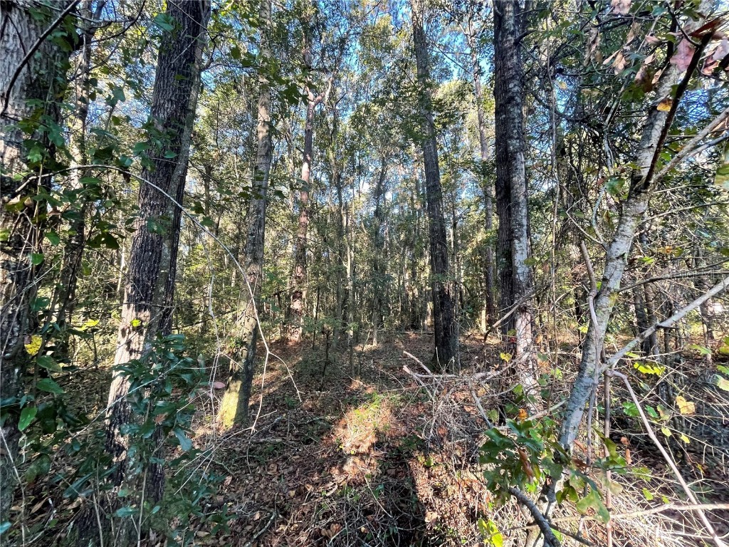 TBD SE 5th Avenue Lake Butler FL 32054 GC508996 image18