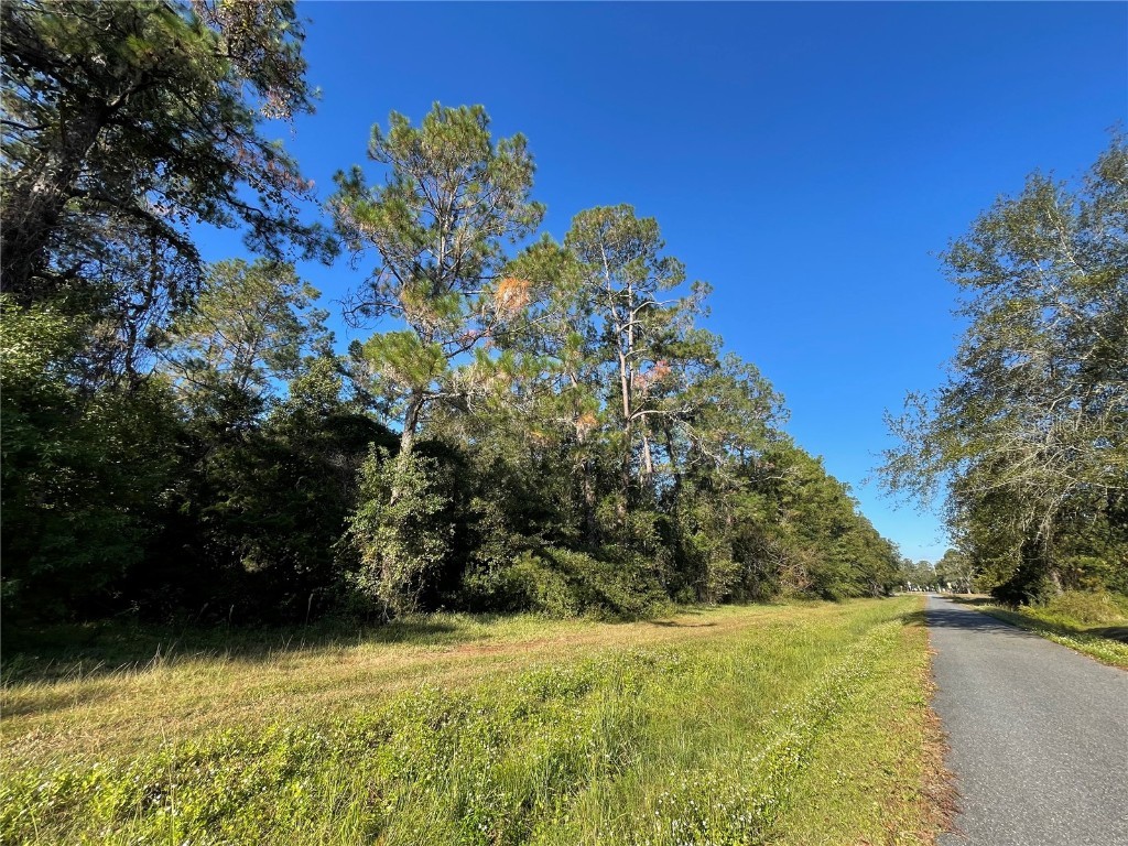 TBD SE 5th Avenue Lake Butler FL 32054 GC508996 image7