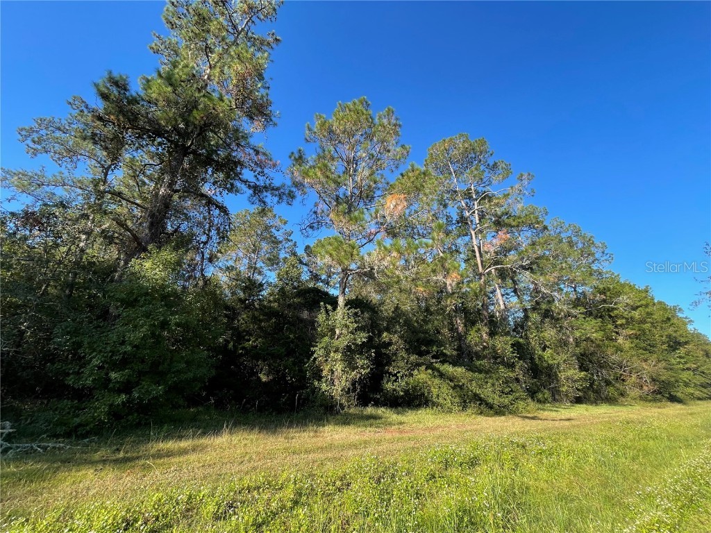 TBD SE 5th Avenue Lake Butler FL 32054 GC508996 image8