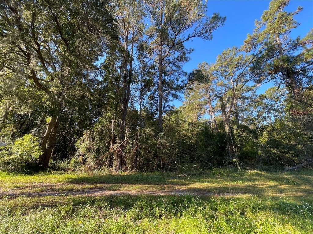 TBD SE 5th Avenue Lake Butler FL 32054 GC508996 image9