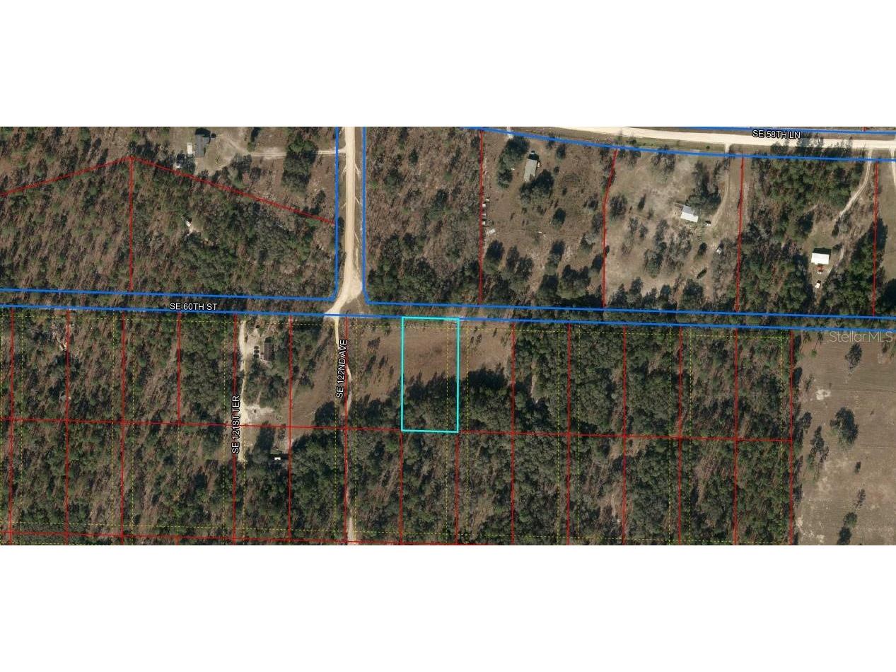 TBD SE 60th Street Morriston FL 32668 OM681907 image1