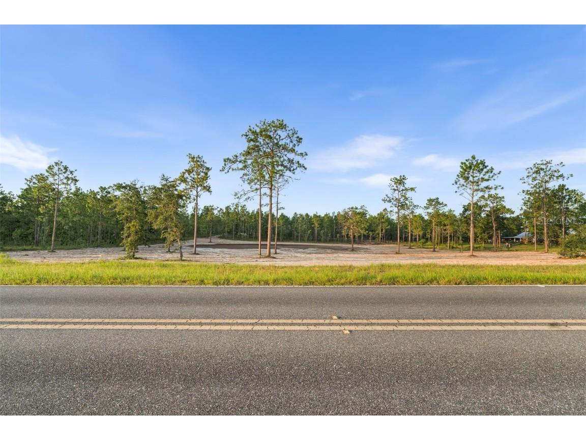 TBD SE 60th Street Morriston FL 32668 OM705822 image1