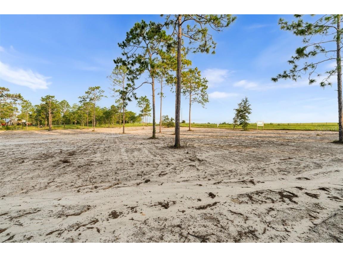 TBD SE 60th Street Morriston FL 32668 OM705822 image3