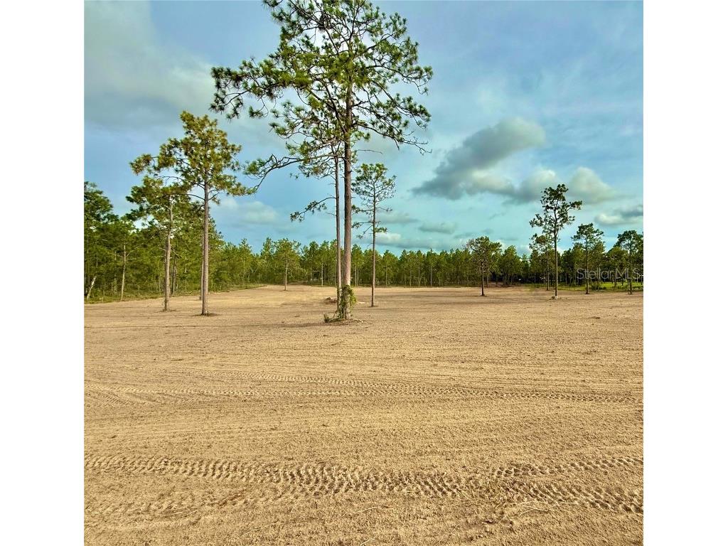 TBD SE 60th Street Morriston FL 32668 OM705822 image4