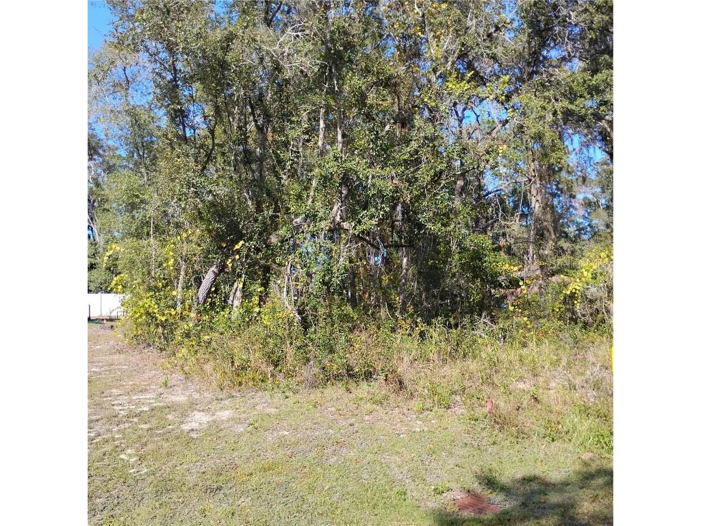 TBD SE 61st Place Ocklawaha FL 32179 OM713708 image1