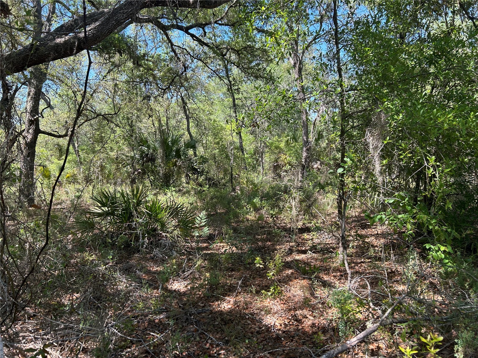 TBD SE 62nd Morriston FL 32668 OM722544 image2