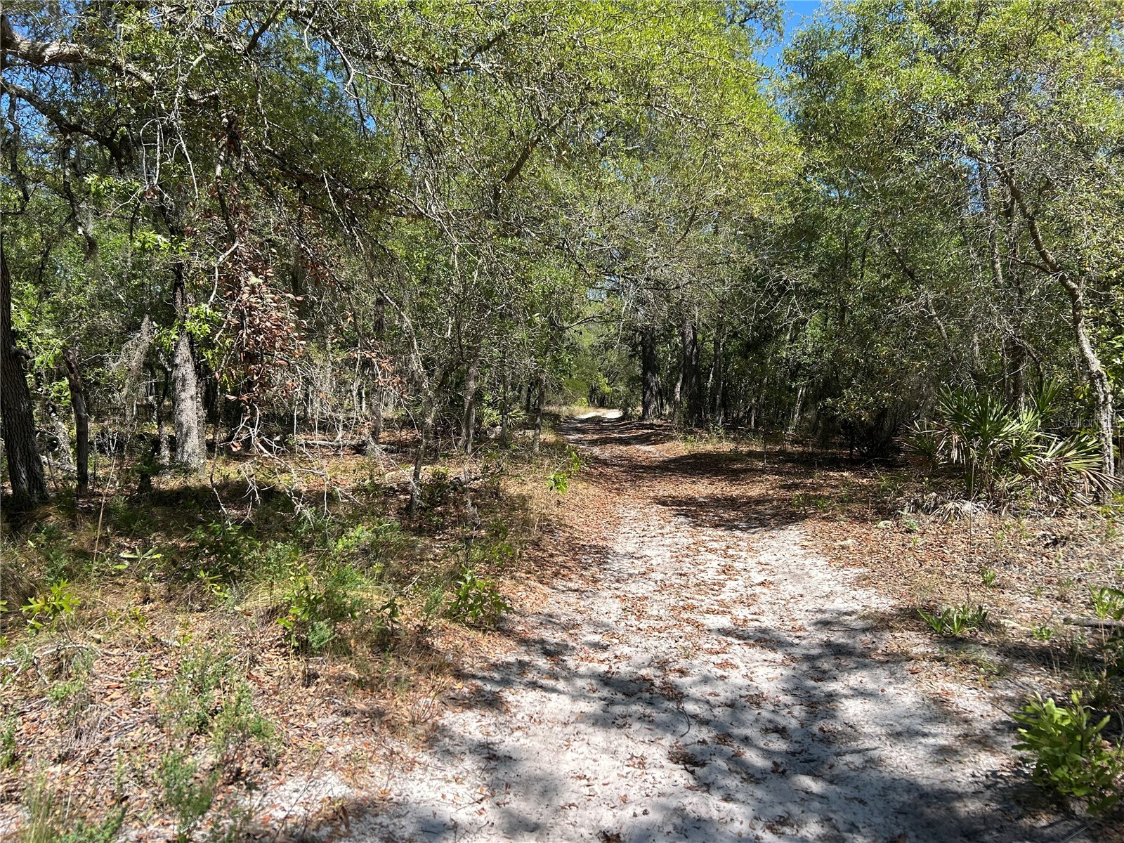 TBD SE 62nd Morriston FL 32668 OM722544 image6