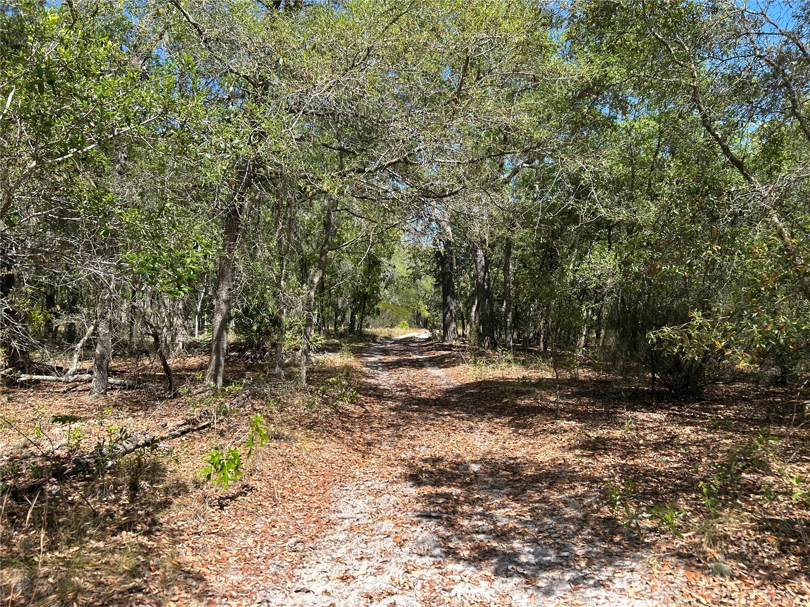 TBD SE 62nd Morriston FL 32668 OM722544 image7