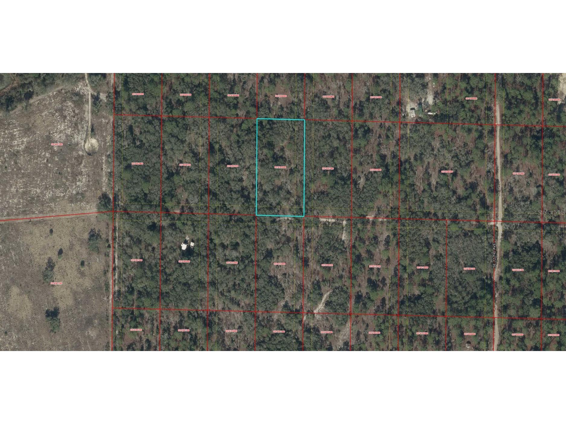 TBD SE 62nd Morriston FL 32668 OM722544 image8