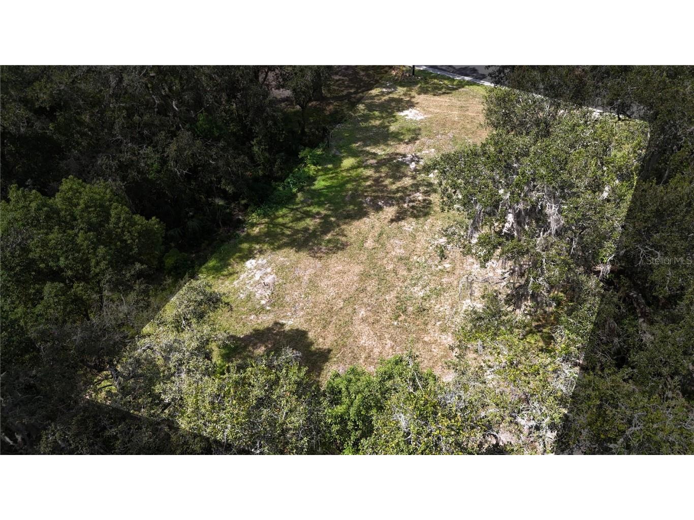 TBD SE 65th Street Ocklawaha FL 32179 OM710303 image1