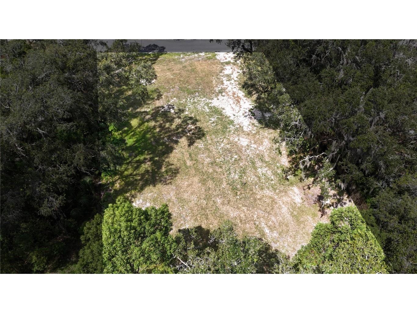 TBD SE 65th Street Ocklawaha FL 32179 OM710303 image5