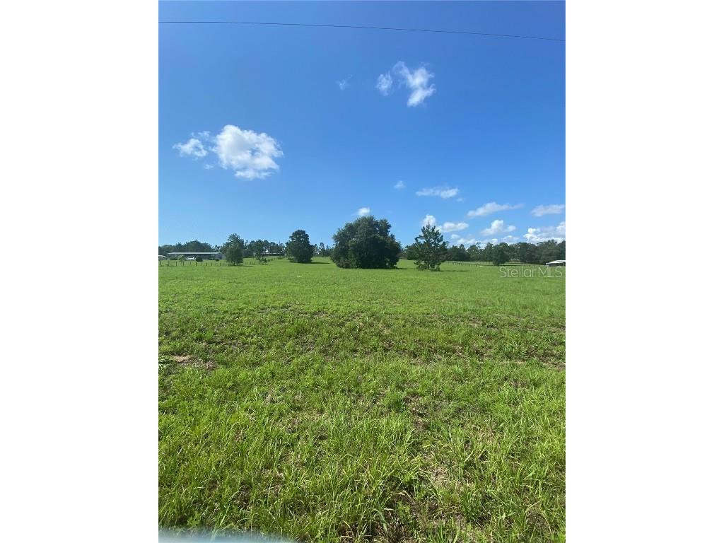 TBD SE 68th Lane Morriston FL 32668 OM661501 image1