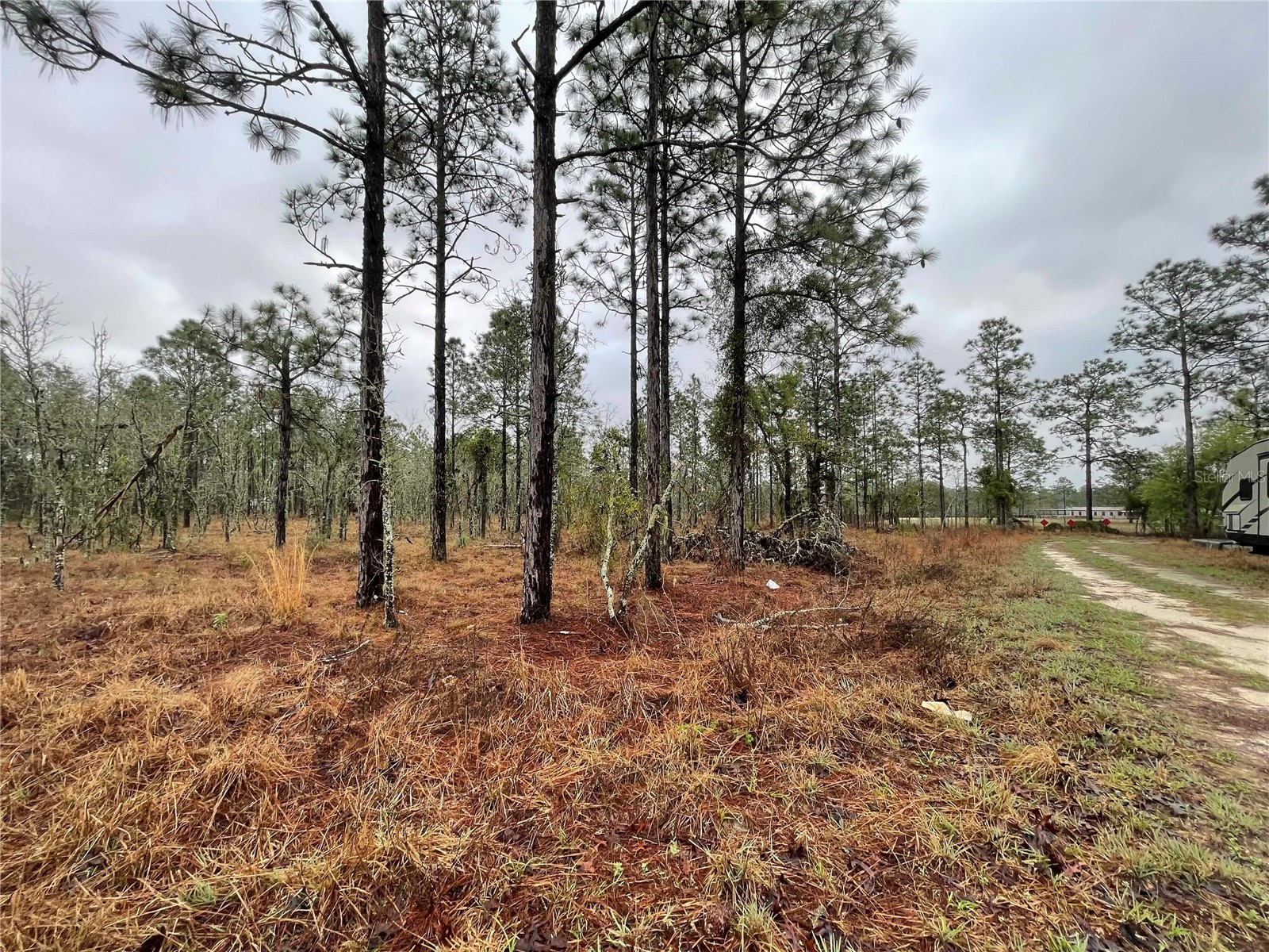 TBD SE 71 Street Morriston FL 32668 OM719993 image5