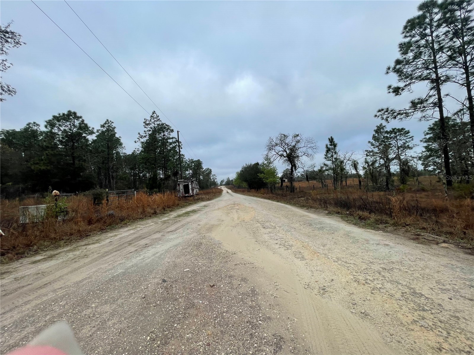 TBD SE 71 Street Morriston FL 32668 OM719993 image6