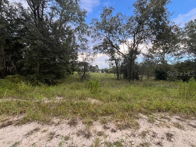 TBD SE 71st Lane Morriston FL 32668 A4622524 image1
