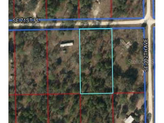 TBD SE 71st Pl Morriston FL 32668 OM687607 image1